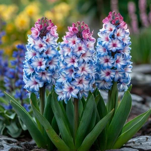 Гиацинт Пинк Мари купить по цене от 2099р. в интернет-магазине «Посадика» с доставкой почтой в в Химкие и по всей России – [изображение №1].